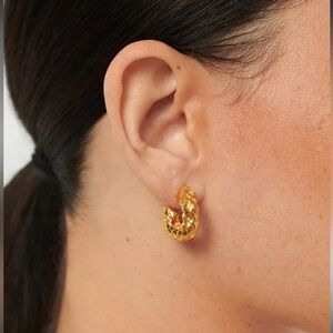 Missoma SERPENT CHUBBY HOOP EARRINGS